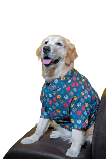 Pawsome Dog Shirt