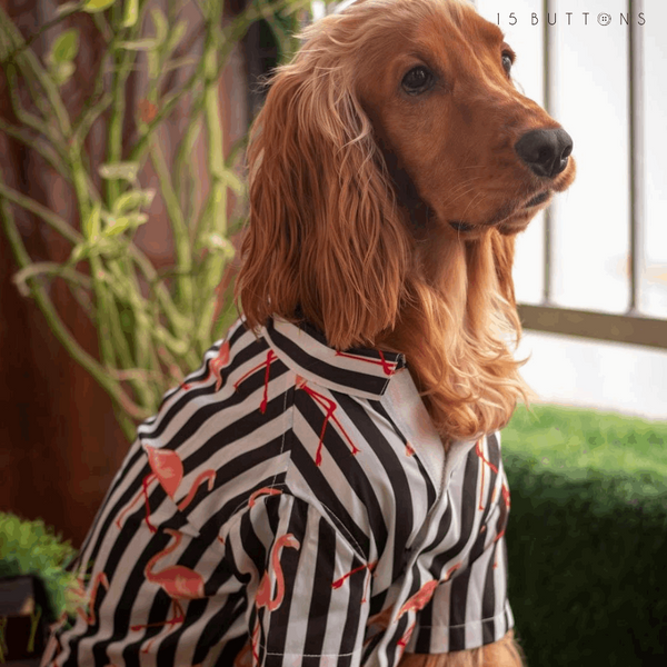 Dog online flamingo shirt