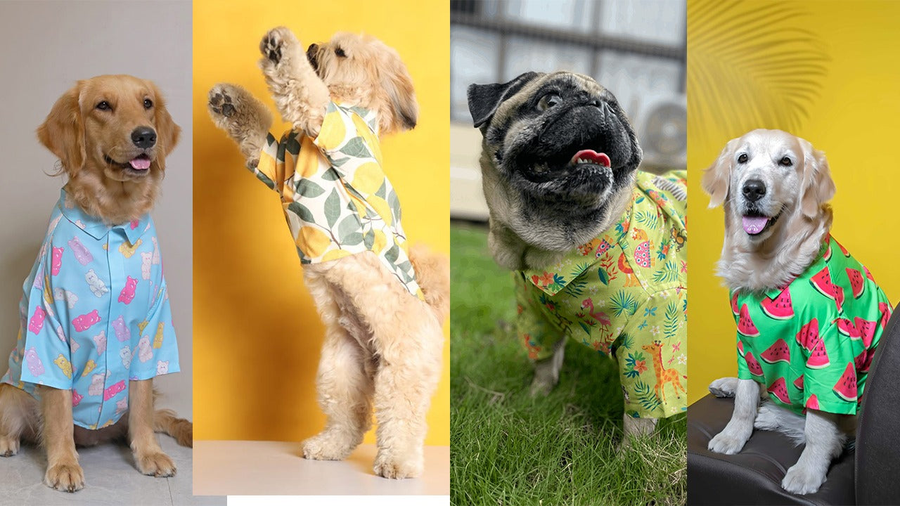 Dog Shirts: The Cutest Trend In Pet Fashion
