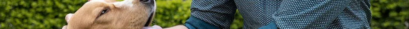 Go Tripling: Tailor-Made Shirts For You, Your Bae & Doggo