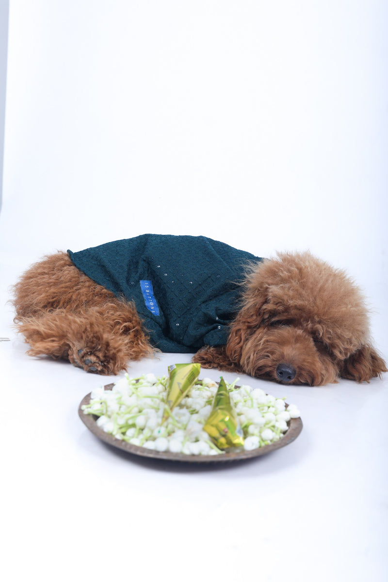 Hunter Green Mehendi Dog Sherwani