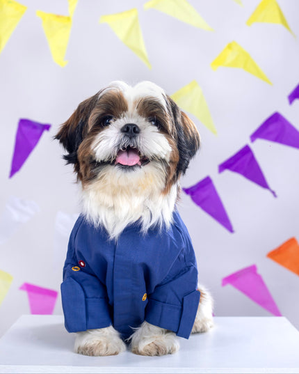 Persian Blue Mirrorwork Dog Kurta