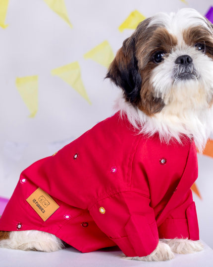 Electric Red Mirrorwork Dog Kurta