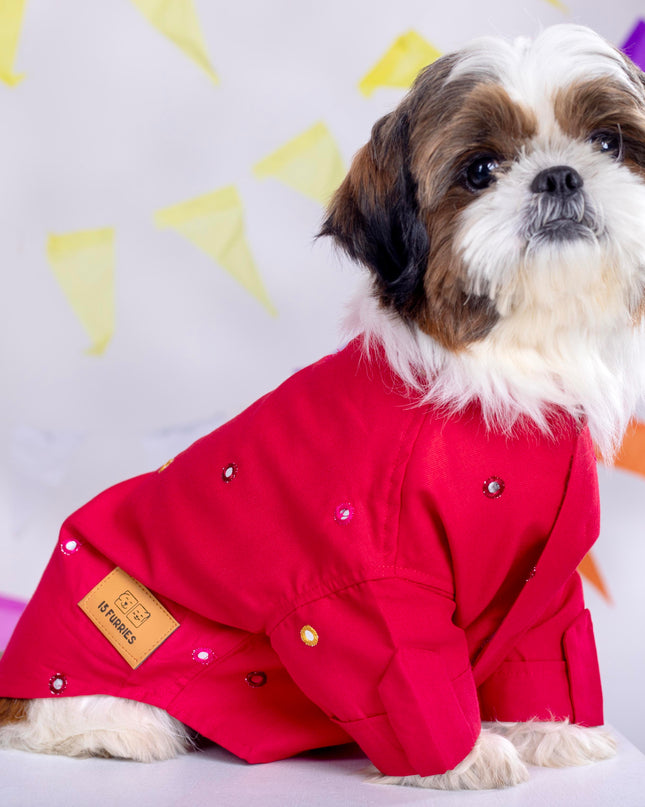Electric Red Mirrorwork Dog Kurta