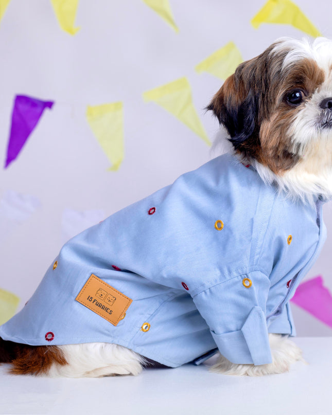 Powder Blue Mirrorwork Dog Kurta