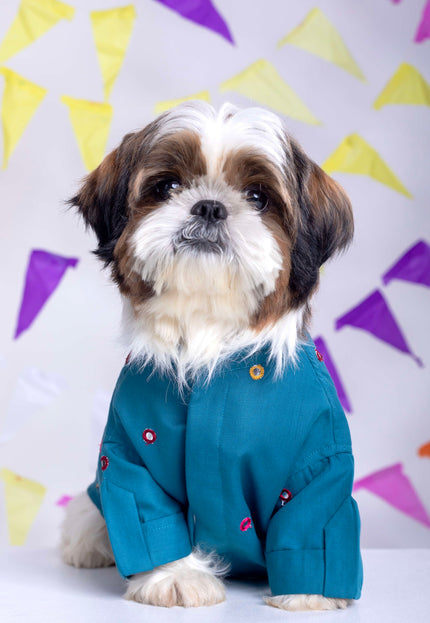 Teal Blue Mirrorwork Dog Kurta