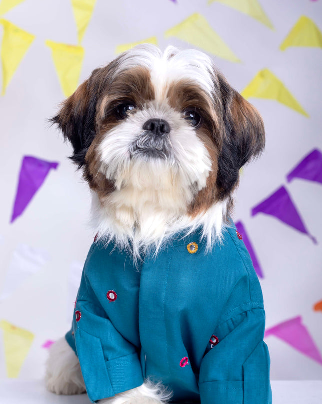 Teal Blue Mirrorwork Dog Kurta