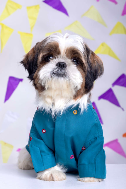 Teal Blue Mirrorwork Dog Kurta