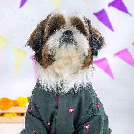 Collection image for: Dog Mirrorwork