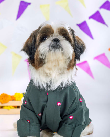 Hunter Green Mirrorwork Dog Kurta