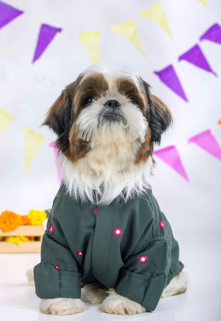 Collection image for: Dog Mirrorwork