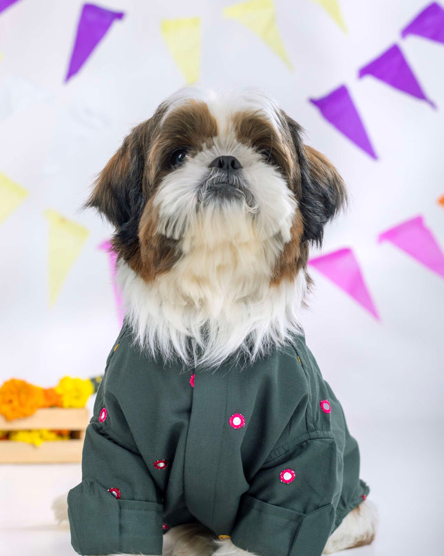 Hunter Green Mirrorwork Dog Kurta