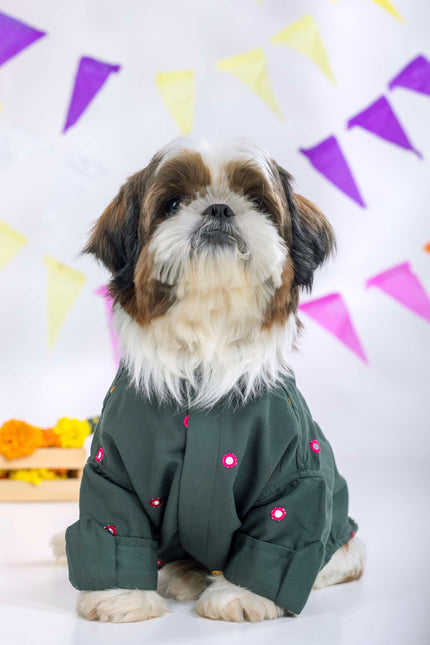 Hunter Green Mirrorwork Dog Kurta