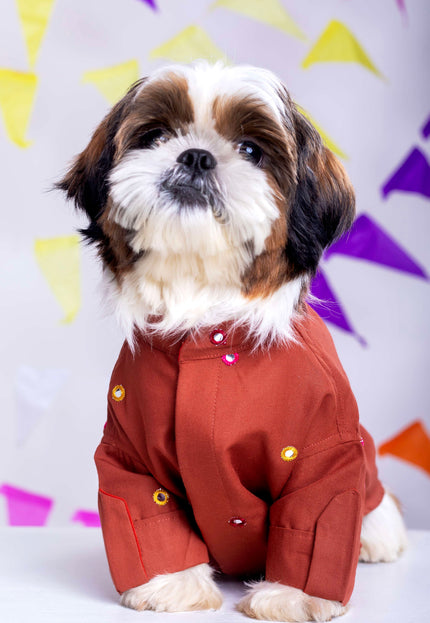 Rust orange Mirrorwork Dog Kurta
