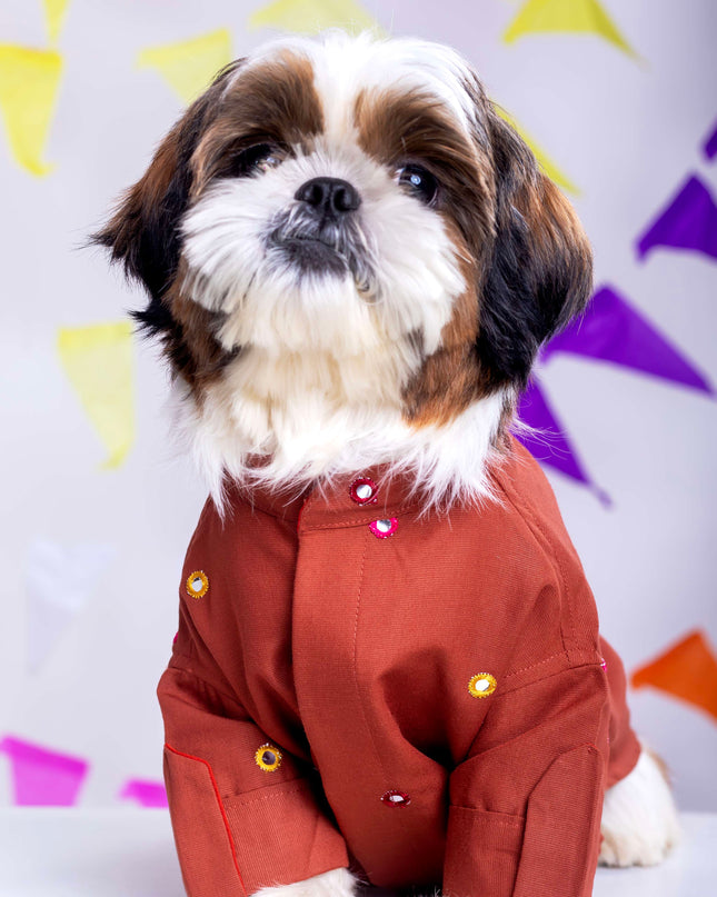 Rust orange Mirrorwork Dog Kurta