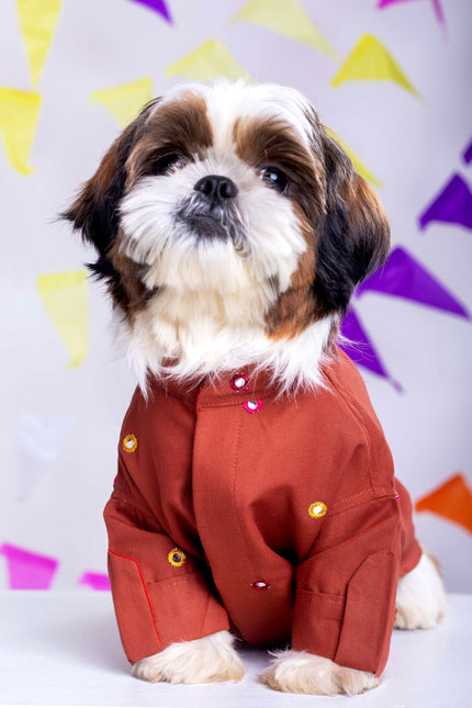 Rust orange Mirrorwork Dog Kurta