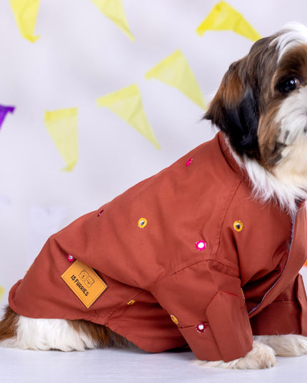 Rust orange Mirrorwork Dog Kurta