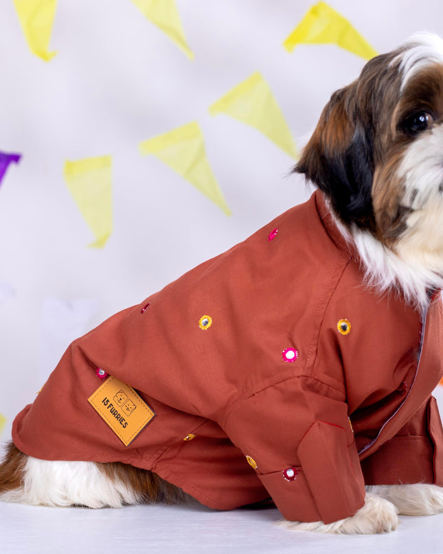 Rust orange Mirrorwork Dog Kurta