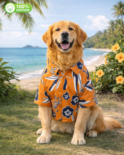 Rust Orange Floral Cotton Dog Shirt