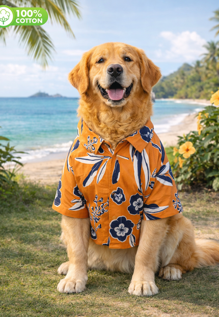Rust Orange Floral Cotton Dog Shirt