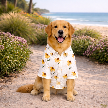 Collection image for: Summer Special