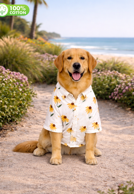 Yellow Sunflower Cotton Dog Shirt