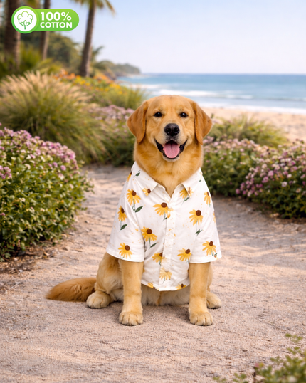 Yellow Sunflower Cotton Dog Shirt