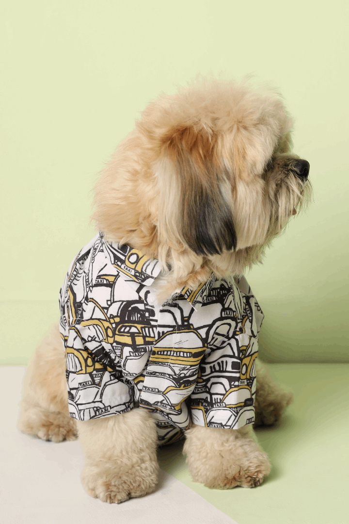 New York Taxi Dog Shirt