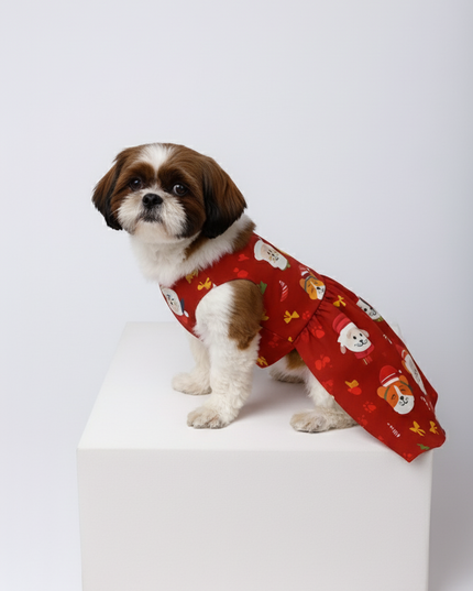 SANTA PAWS DOG DRESS