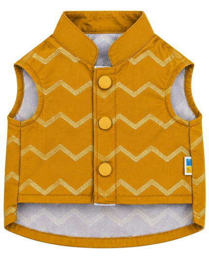 Jashn Mustard Cat Sherwani