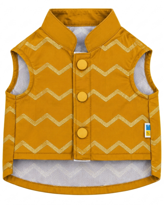 Jashn Mustard Cat Sherwani