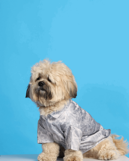 Silver Water Ripple Dog Shirt