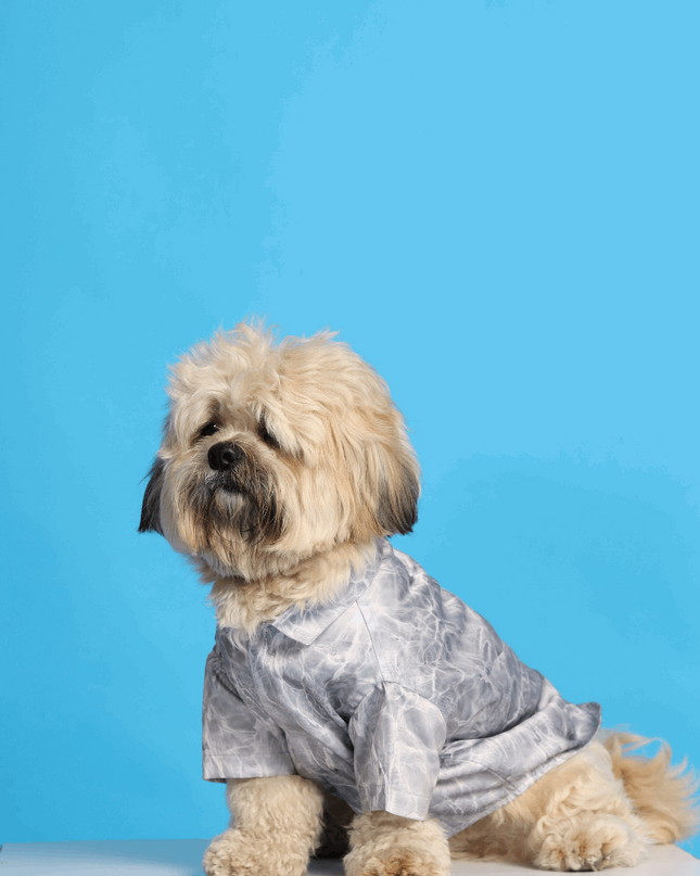Silver Water Ripple Dog Shirt