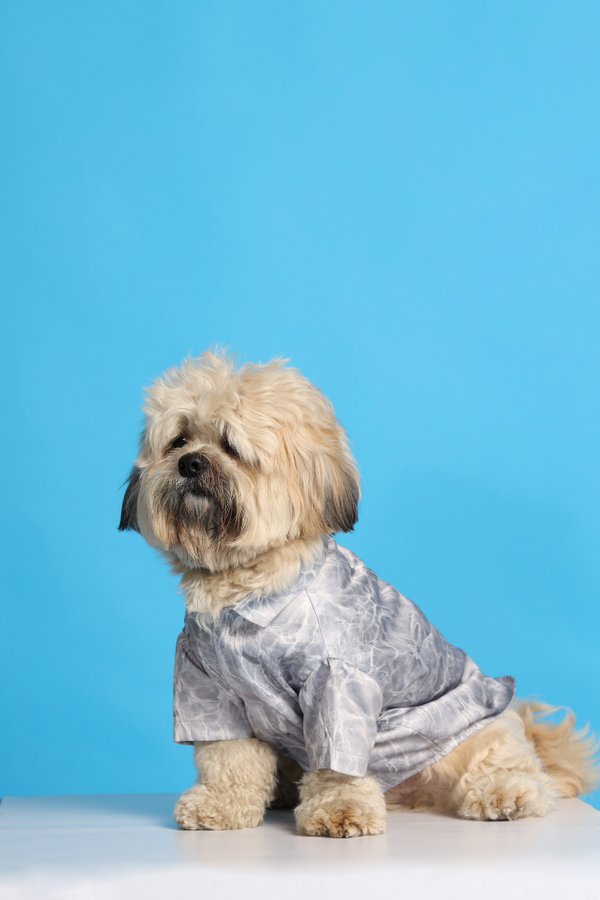 Silver Water Ripple Dog Shirt