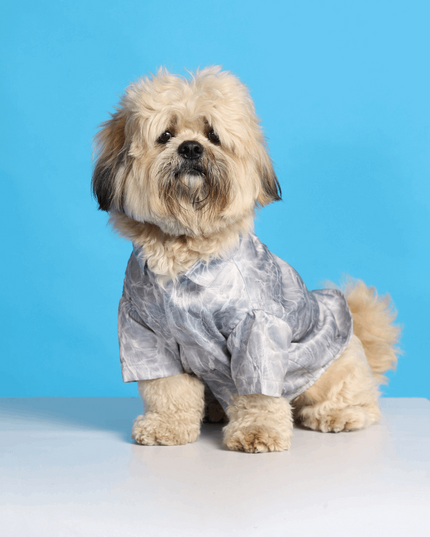 Silver Water Ripple Dog Shirt