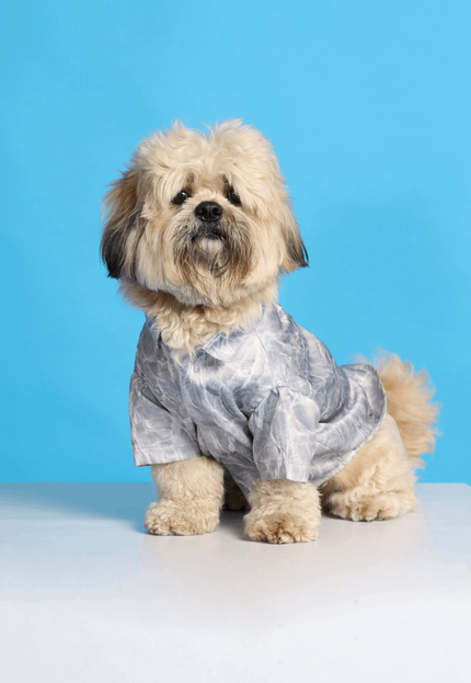 Silver Water Ripple Dog Shirt