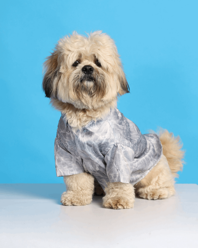 Silver Water Ripple Dog Shirt