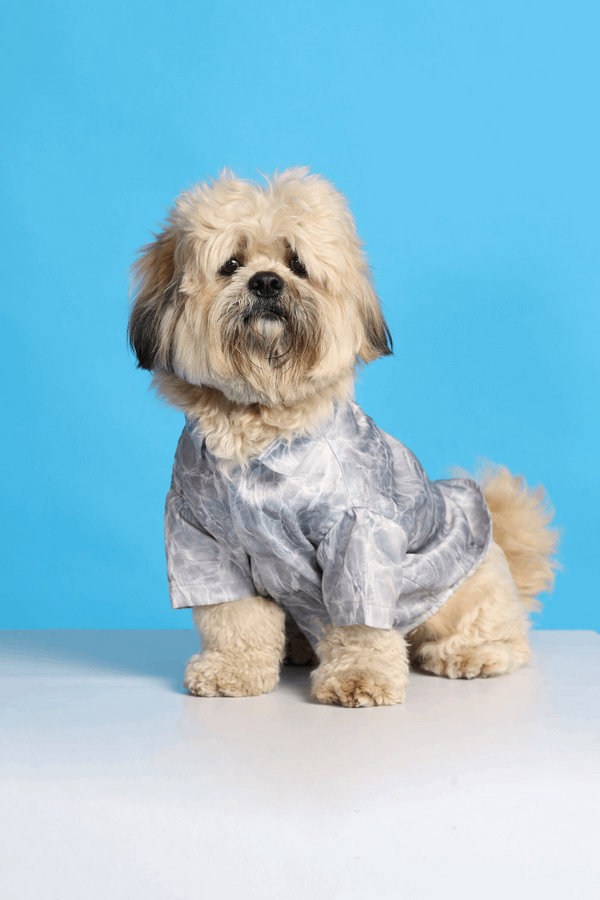 Silver Water Ripple Dog Shirt