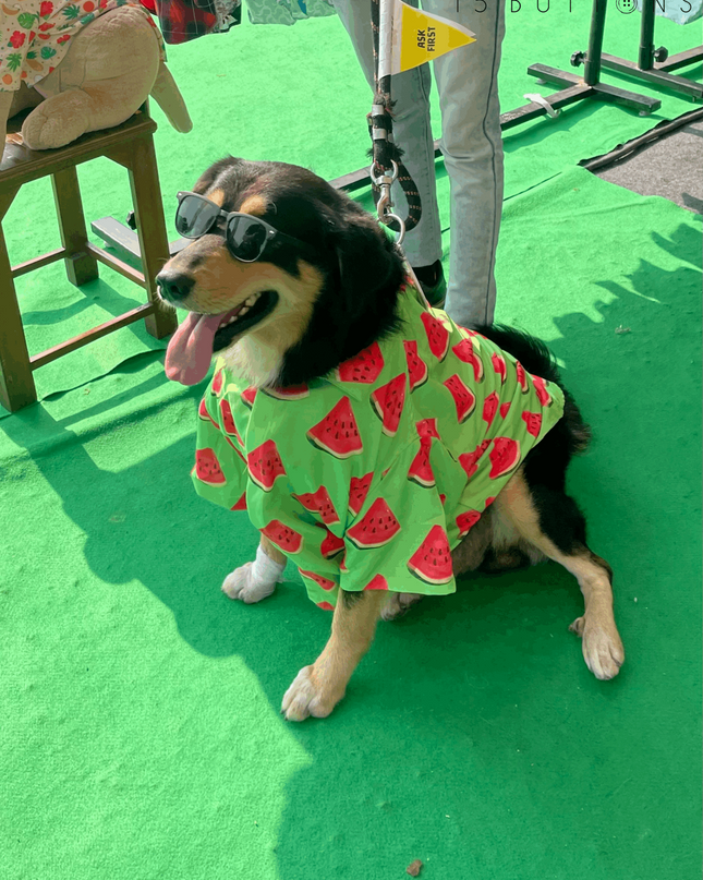 Watermelon Dog Shirt