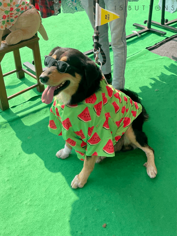 Watermelon Dog Shirt