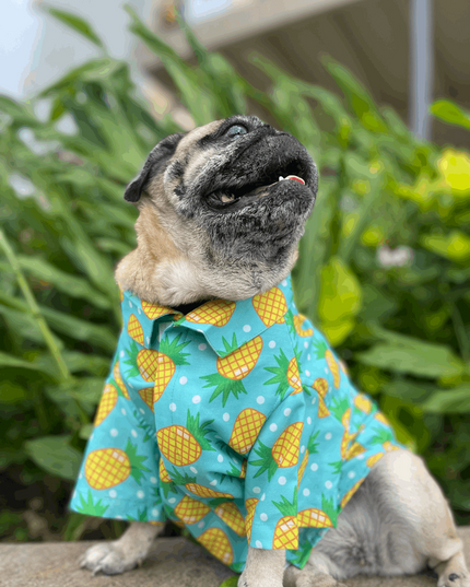 Pineapple Polka Dog Shirt