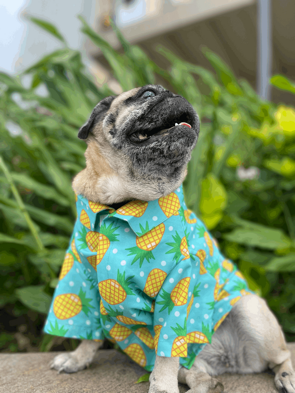 Pineapple Polka Dog Shirt