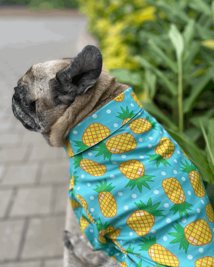 Pineapple Polka Dog Shirt