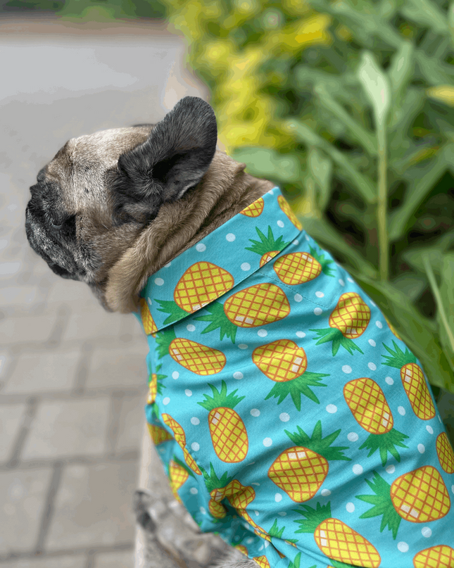 Pineapple Polka Dog Shirt
