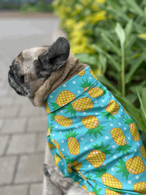 Pineapple Polka Dog Shirt