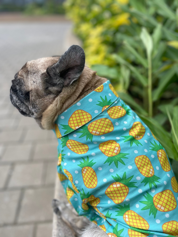 Pineapple Polka Dog Shirt