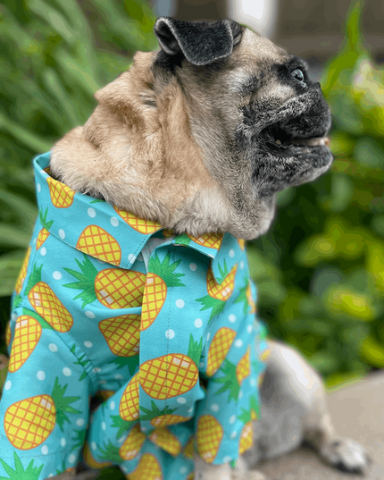 Pineapple Polka Dog Shirt