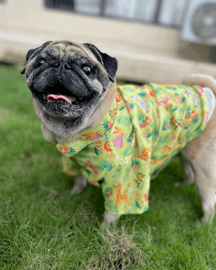 Madagascar Dog Shirt