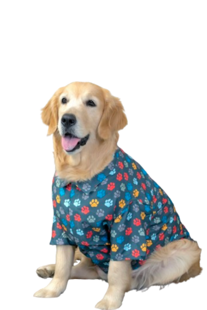 Pawsome Dog Shirt