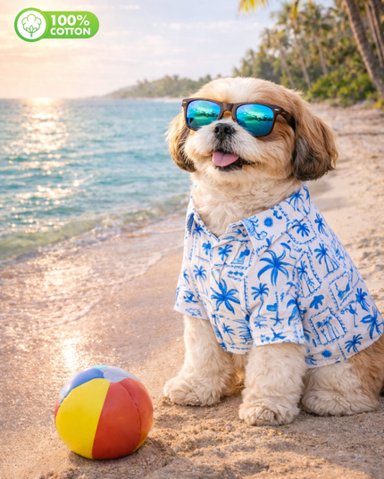 Tropical Blue Postcard Cotton Dog Shirt
